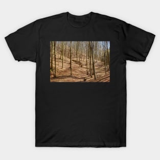 Landscape with beech forest on springtime T-Shirt